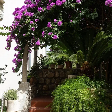 Apartmán Cosma Dubrovník