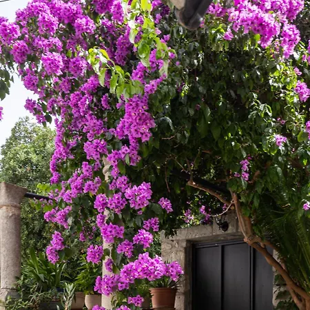 Apartmán Cosma Dubrovník