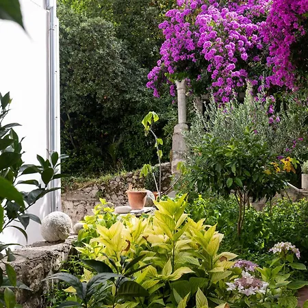 דירה Cosma דוברובניק