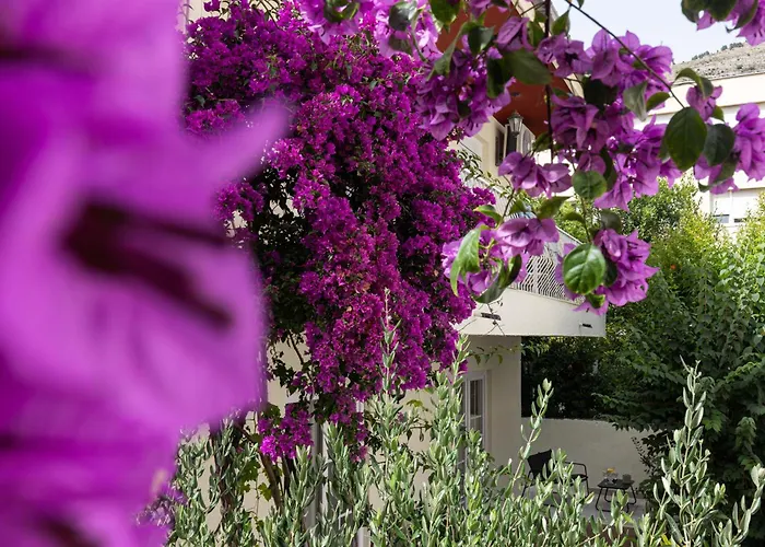 Cosma Ντουμπρόβνικ