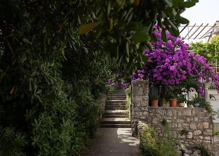 Διαμέρισμα Cosma *